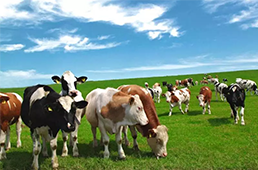 海欣食品全面扭虧，營收猛增13.48%/三全食品營收同比增12.87%