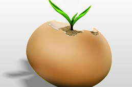 中國(guó)煎餅在美國(guó)一個(gè)賣15美元，下一個(gè)走出國(guó)門的會(huì)是哪個(gè)？