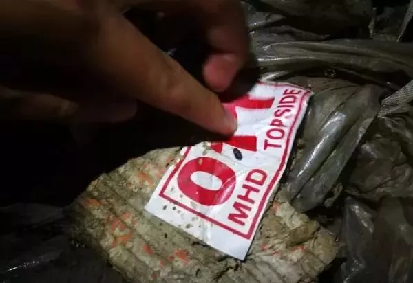 金平私挖走私凍肉事件調(diào)查：挖一斤可賣5元，一過秤就給錢