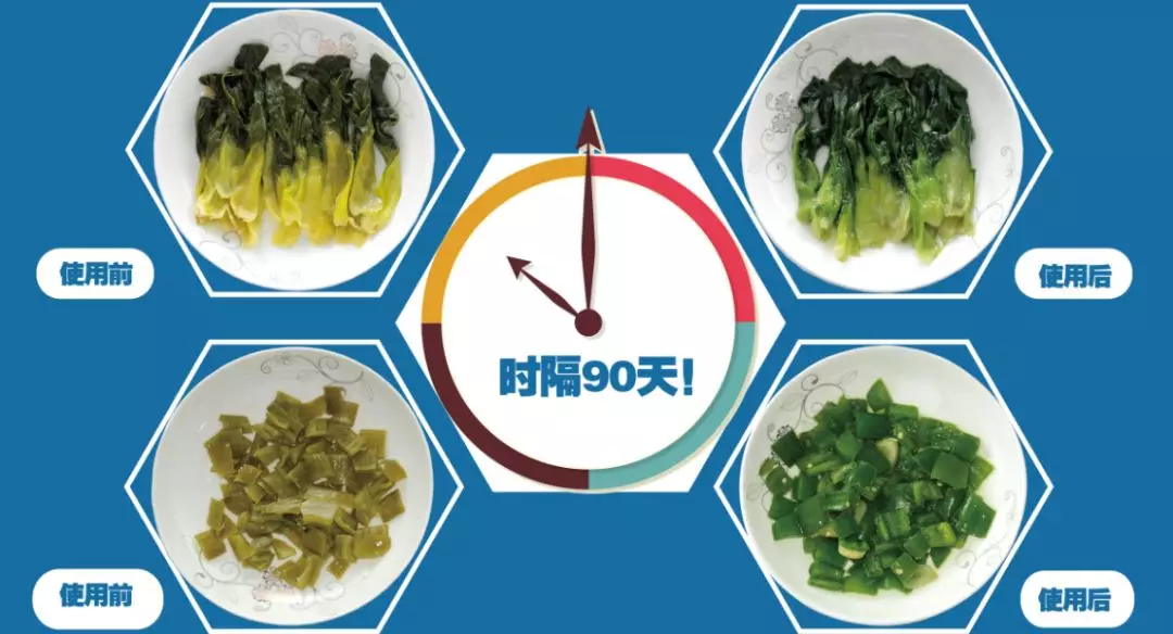 青菜“綠”了，生意紅了，這款“美顏神器”不簡單！