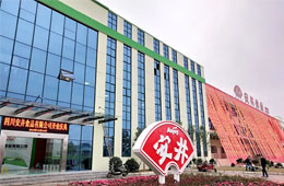 安井只是賣丸子的？不，它已成速凍品類“三劍客