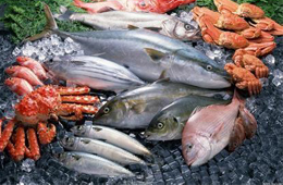 農(nóng)業(yè)農(nóng)村部：我國(guó)水產(chǎn)品出口額連續(xù)17年居世界第一