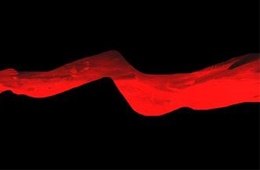 行業(yè)丨速凍食品新國(guó)家標(biāo)準(zhǔn)正式實(shí)施，這些“紅線”要注意了！