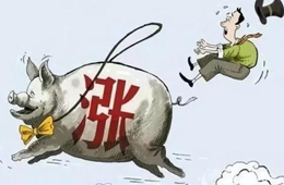 豬肉供應(yīng)量斷崖式下跌，肉價(jià)將開啟全面大漲