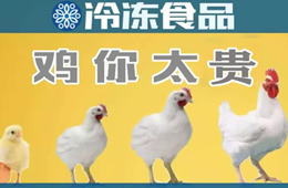 量?jī)r(jià)齊升，養(yǎng)白羽肉雞咋還虧了？