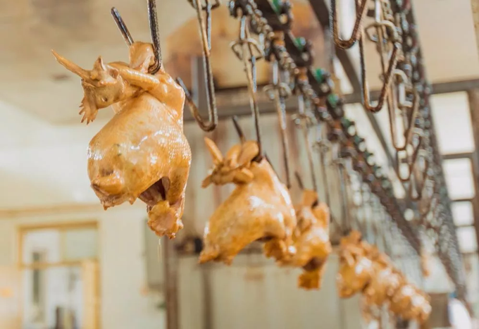 1568793152710324.png yixingz (6).png