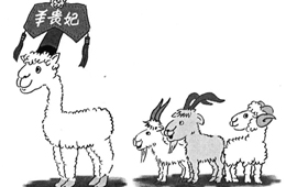 比去年同期上漲35%，價(jià)格井噴的“羊貴妃”路在何方？