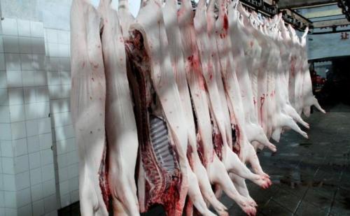 視頻丨嚴(yán)、精、快、準(zhǔn)！正大集團(tuán)的豬肉屠宰加工流程
