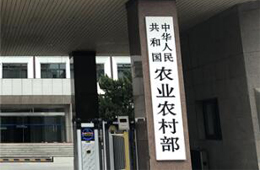 農(nóng)業(yè)農(nóng)村部： 各地不得以保障本地市場名義，拒絕出具跨省調運動物檢疫證明