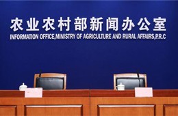 非瘟爆發(fā)至今，全國(guó)共撲殺生豬120萬(wàn)頭；2萬(wàn)噸儲(chǔ)備肉今日出庫(kù)競(jìng)價(jià)