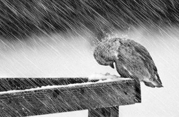 熱點 | 海欣營銷總監(jiān)給經(jīng)銷商的自救指南：立即行動，應對變化！