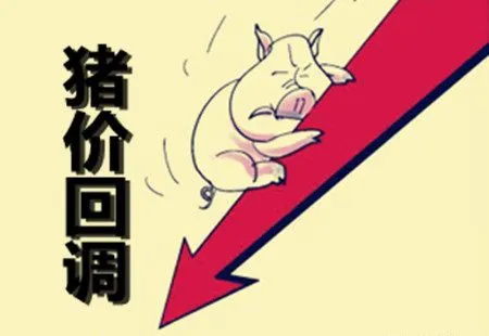 1587544377347215.png zhu (2).png