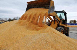  疫情全球肆虐，為什么我國不會出現(xiàn)糧食危機?