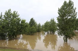 火速馳援！三全、白象、好想你奔赴抗洪一線捐贈美食