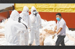 水產(chǎn)、禽肉、豬肉、牛肉…多種進(jìn)口凍品連續(xù)檢出新冠陽性，冷鏈追溯構(gòu)筑防控“安全鏈”