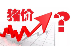 豬價(jià)又“變臉”，新一波漲勢來了？農(nóng)業(yè)農(nóng)村部：或持續(xù)到元旦春節(jié)