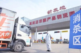 北京新發(fā)地暫停凍品等銷售和儲存；天津海聯(lián)冷庫感染源為北美豬頭