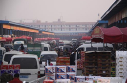 追蹤 | 冷庫停業(yè)，旺季將至，急壞凍品人！怎么辦？