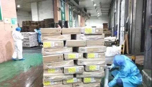 1608279600745379.jpg 1608279600745379.jpg