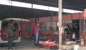 又見瘦肉精，河北青縣問題羊肉流向河南等地！當(dāng)?shù)卣o急回應(yīng)