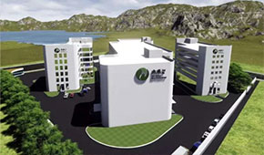 植物肉風口下的“黑馬”，三全、思念都選它