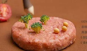 對話拉絲蛋白巨頭：植物肉是一場飲食革命，大眾消費是方向