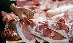 發(fā)改委發(fā)布生豬價格過度下跌三級預(yù)警 ，豬價真的要“奔5”？