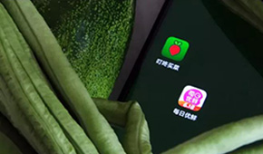 叮咚買菜、每日優(yōu)鮮接連上市，是否持續(xù)利好預(yù)制菜成為“家常菜”？