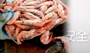 生產(chǎn)日期隨意改、過(guò)期蝦換包裝秒變合格品……味庫(kù)海鮮攤上事了，曾獲6輪融資