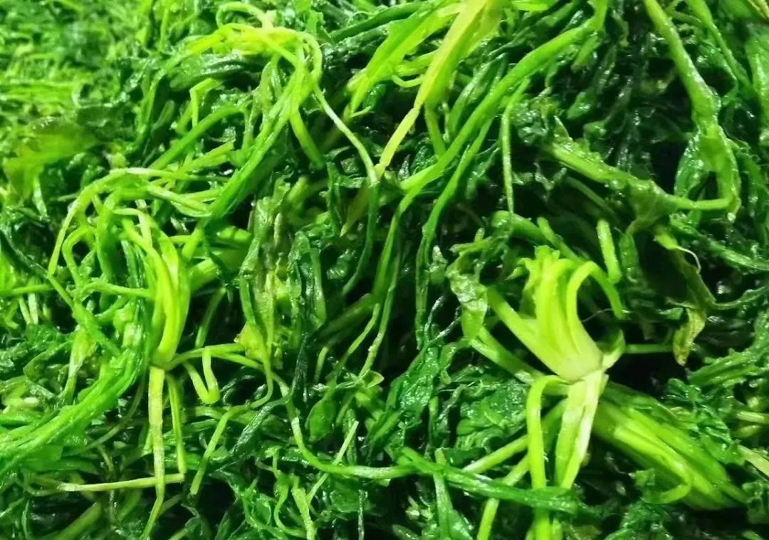 1638323357602938.jpg 1638323357602938.jpg