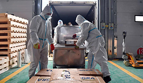 全國28個(gè)省份已建成869個(gè)集中監(jiān)管倉，進(jìn)口冷鏈“國家平臺”將升級2.0版