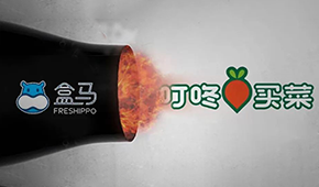 盒馬“炮轟”叮咚買菜，生意不好做大家都暴躁了？