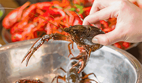 疫情之下，餐飲圈為啥都賣起了小龍蝦？