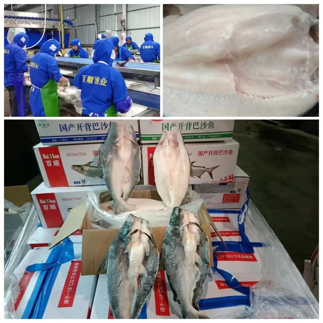 1663725382192302.jpg 1663725382192302.jpg