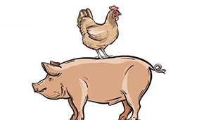 國慶長(zhǎng)假后豬、雞價(jià)格雙升，發(fā)改委稱近期將投放第五批中央豬肉儲(chǔ)備