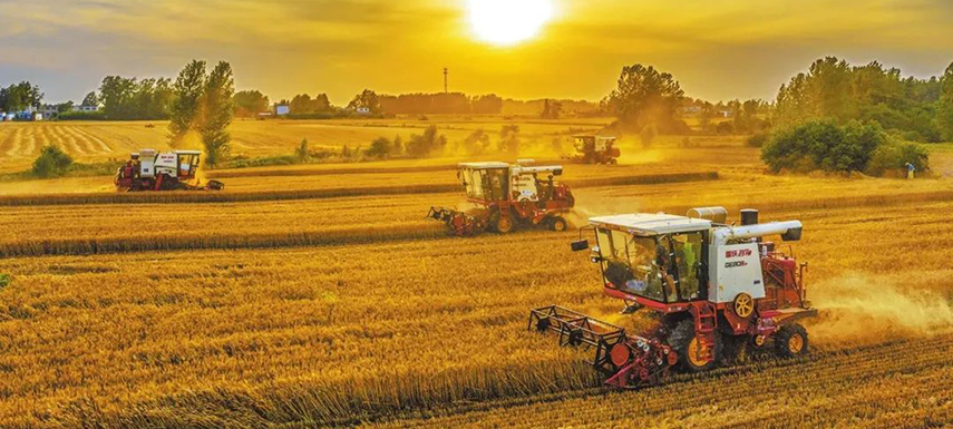 全國7/10的餃子、3/5的湯圓、1/2的火腿腸…河南這樣承包國人餐桌