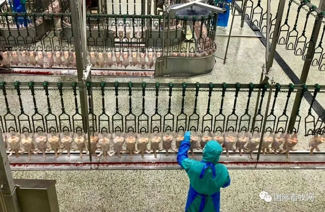 1676512589504073.jpg 1676512589504073.jpg