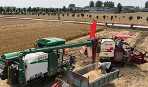 麥收遭遇爛場雨，面粉出廠價“狂飆”，一袋暴漲15元！