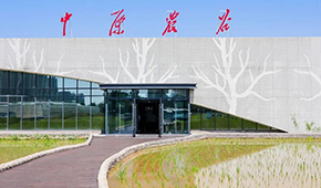 打造千億級(jí)種業(yè)和糧食產(chǎn)業(yè)集群，河南“中原農(nóng)谷”雛形初現(xiàn)