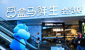 盒馬“移山”，山姆“殺馬”？會員制商超打起來了！