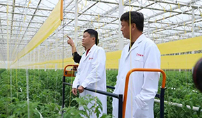 馬家廚房？馬家秘制老鴨煲？馬云的“假動作”為何讓市場興奮？