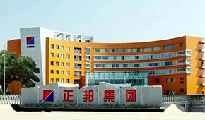 “江西豬王”易主，雙胞胎正式入主正邦