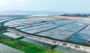 從魚塘到餐桌6重把控，半天妖攜手恒興“定向”養(yǎng)好一條魚