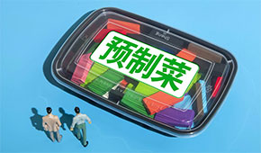 重點是防腐劑、保鮮劑，重視凈菜和定制菜...關于預制菜，參與國標制定的專家這樣說