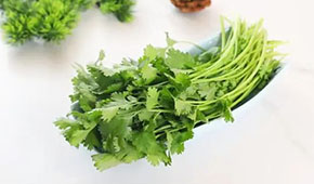 香菜餅、香菜丸、香菜油條、香菜小酥肉…香菜為啥這么“香”？