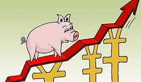 牧原、溫氏、新希望…業(yè)績(jī)大漲，扭虧為盈，豬企龍頭集體走出“至暗時(shí)刻”？