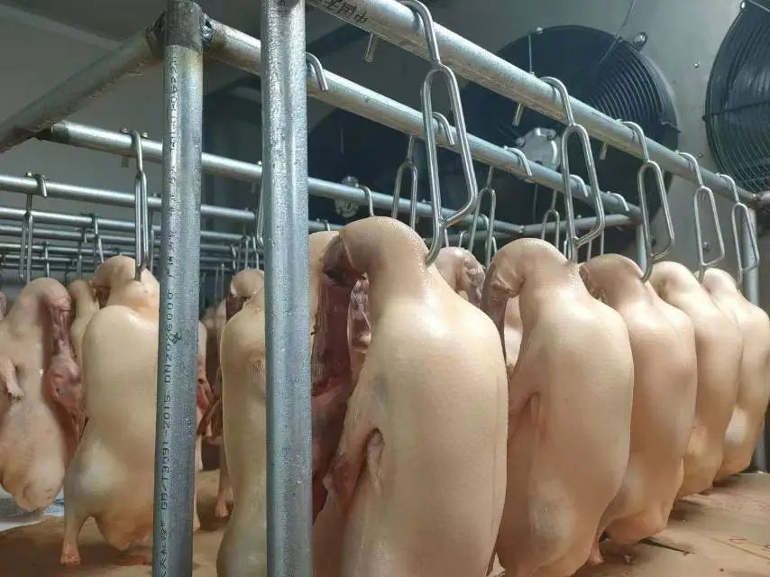 1738720763456750.jpg 1738720763456750.jpg