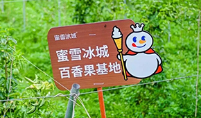 今日上市！覆蓋全球六大洲38個國家，“雪王”的采購網(wǎng)到底有多牛？