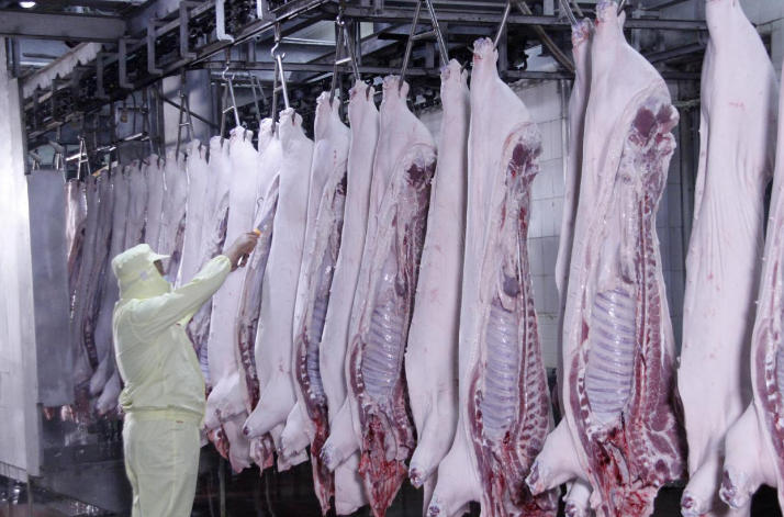 “鮮肉做好腸”，華昱為凍品行業(yè)發(fā)展“趟”出一條新路